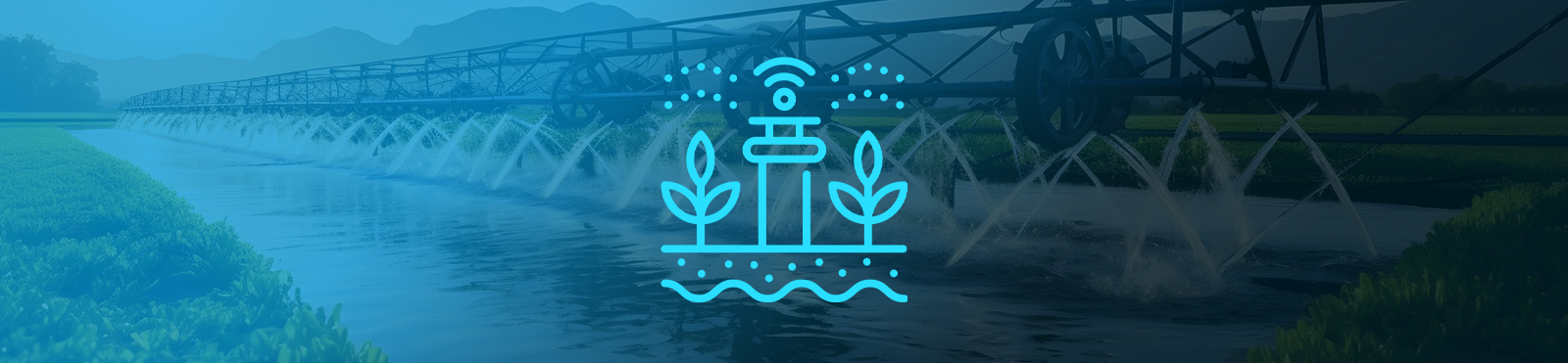 Irrigation System